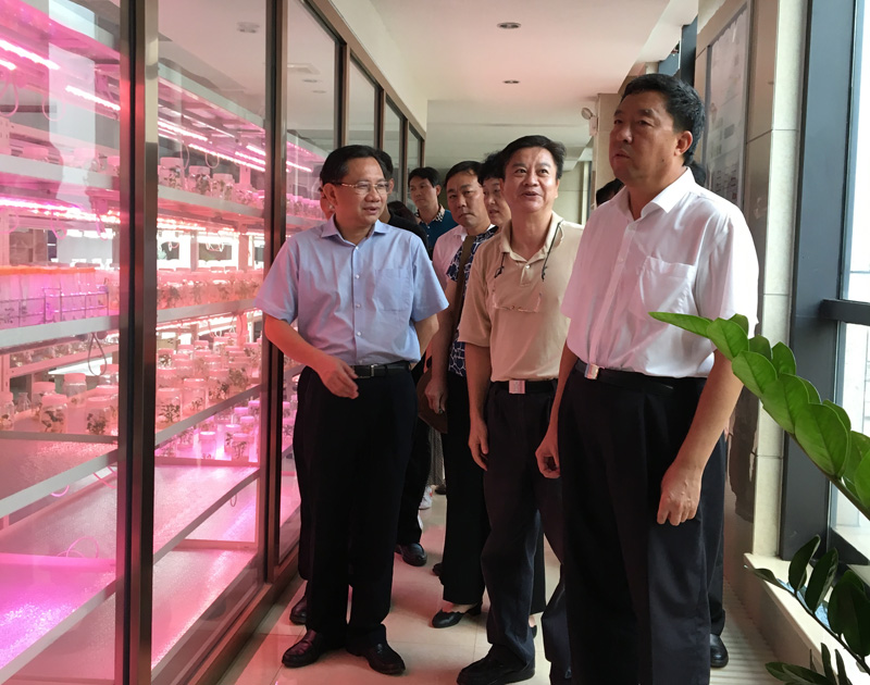 ����ʡ��Э��ϯë�򴺿�����в�������