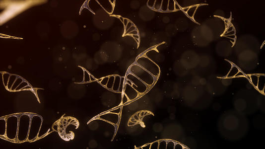 �й�ũҵ��ѧ���״ν���ˮ����˽����