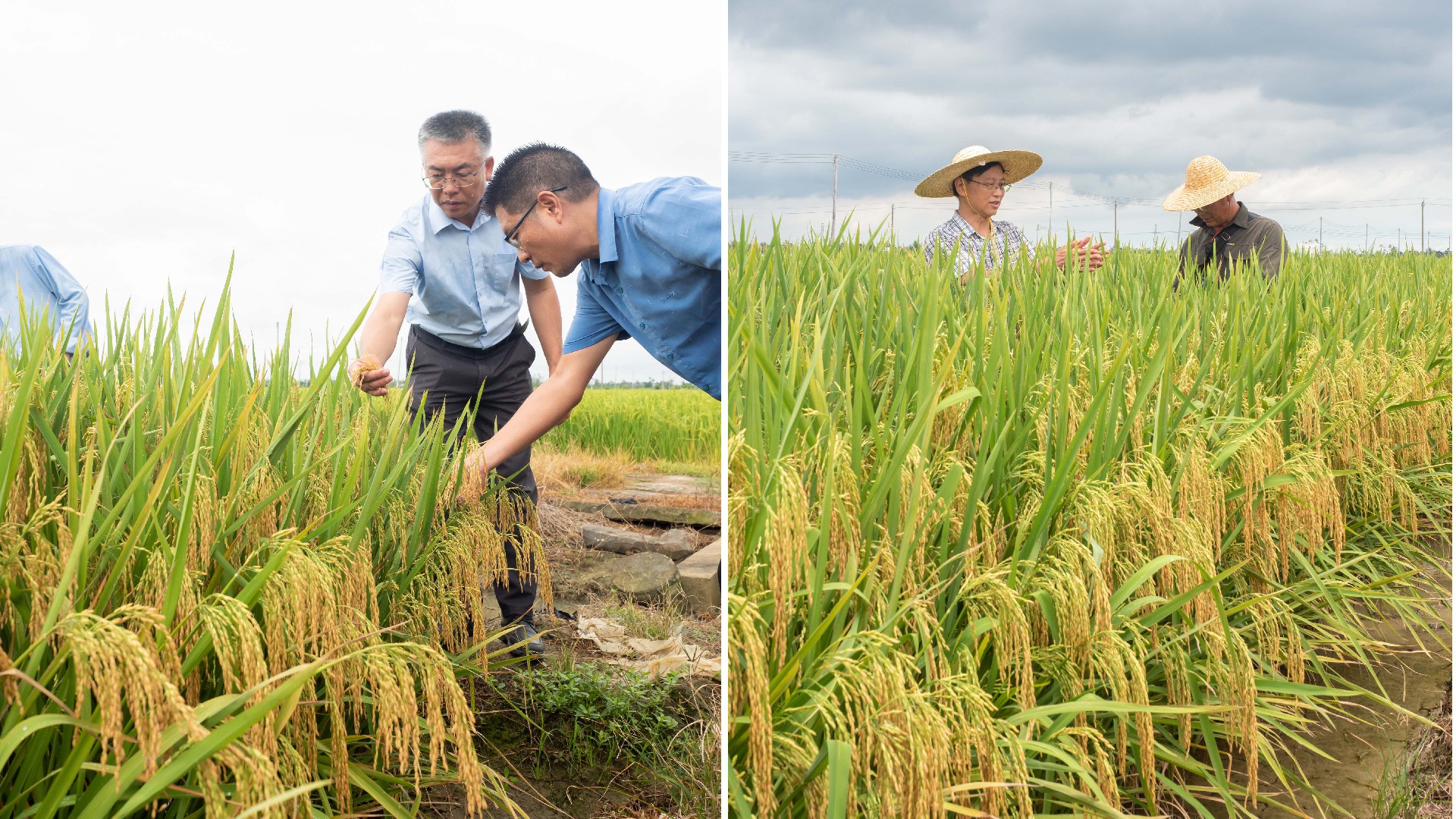 7�� ����.JPG