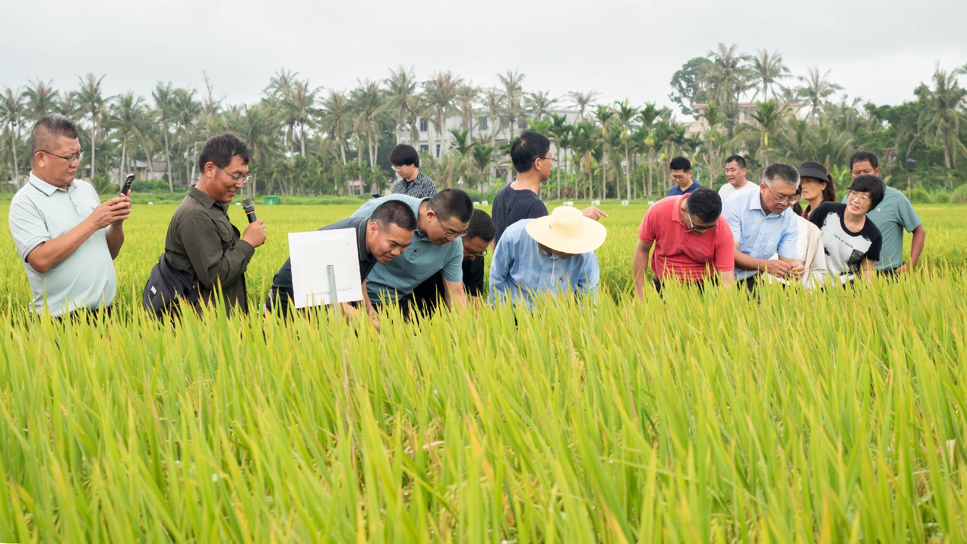 ����ϵ�ӽ�����Ȧ�ۡ����ϣ�ר�ҡ��ƹ�վ����ҵ��׷������