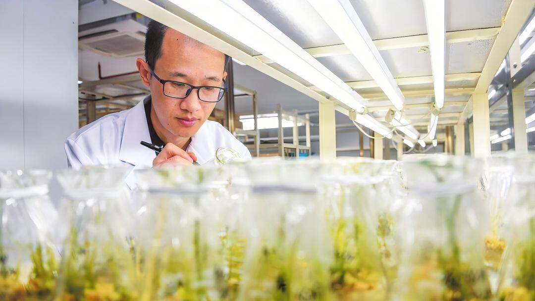 ���������С�������  �Ƽ����ܡ�����·��