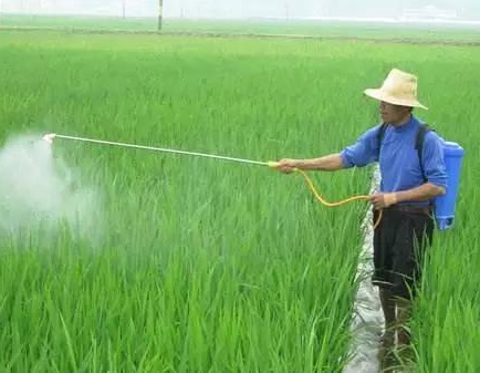 ˮ����ѧ����ע������